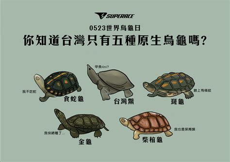 中國大陸各省簡稱 烏龜是吉祥物嗎